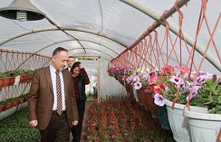 Başkan Saygılı: "Çiçek seraları bütçemize...