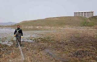 Bataklık alanlarda ilaçlama çalışması