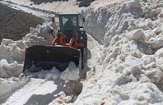 Batman’da Nisan ayında karla temizleme çalışmaları...