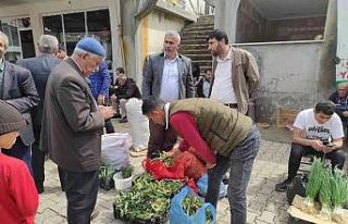 Batman’da yüksek dağlarda yetişen pancar, köylülerin...