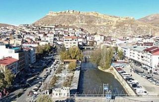 Bayburt’ta ihracat 194 dolar, ithalat 2 bin dolar...