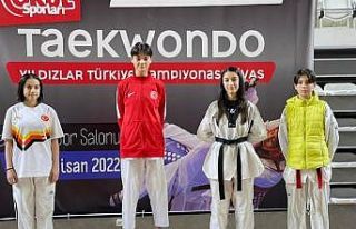 Bilecikli sporcular tekvandoda Türkiye dereceleri...