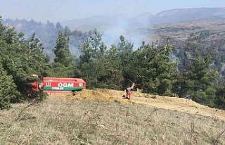 Bilecik’te dün başlayan orman yangını söndürüldü,...