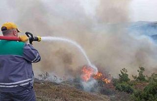 Bilecik’te küçük çaplı başlayan orman yangını...