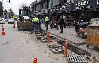 Bilecik’te mazgallar temizlendi