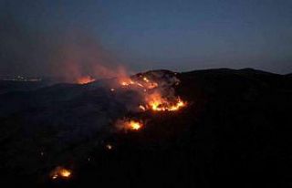 Bilecik’te orman yangını 12 saatin ardından kontrol...