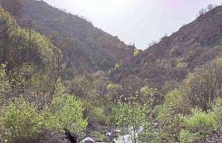 Bingöl’de ele geçiren 25 kınalı keklik doğaya...