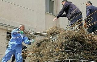 Bitlis’te 1 milyon meyve fidanı projesinin 2. etabı...