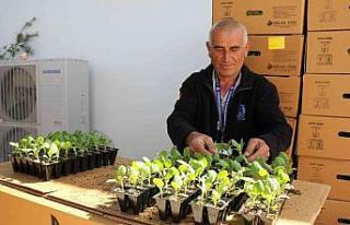 Bodrum’da 142 bin hibe fide üreticiyle buluştu