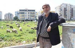 Böyle meslek sevdası görülmedi