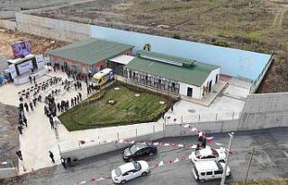 Bu merkezde sokak hayvanlarının bakımı en donanımlı...