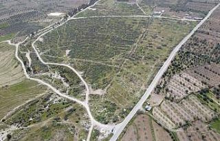 Buharkent Aydın’ın Jeotermal Sera üssü olacak