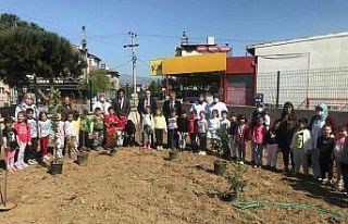 Burhaniye’ de Kaymakam Memiş, anaokulu öğrencileri...