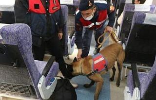 Bursa jandarmasından trende köpekli denetim