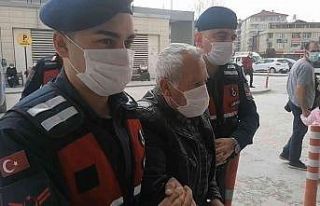 Bursa’da hamile köpeği öldüren zanlı serbest...