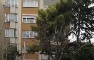Bursa’da tehlikeli taşımacılık.. Görenler bir...