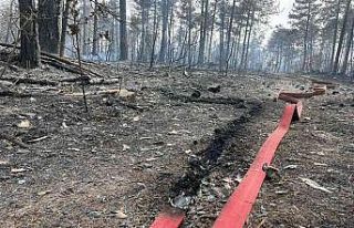 Bursa’daki orman yangını kısmen kontrol altına...