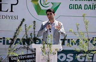 Büyükşehir Belediyesi 5 bin yağlık zeytin ve...