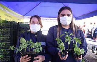 Büyükşehir Belediyesi Ata Tohumları’na sahip...