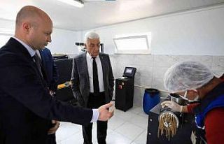 Büyükşehir Belediyesi sokak hayvanlarının mamasını...