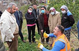 Büyükşehir’den ilçelerde budama ve aşı eğitimi