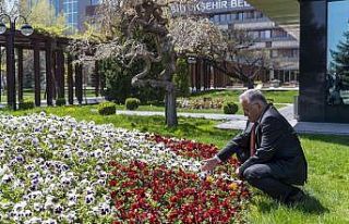 Büyükşehirden Kayseri’de yeşil alan için 3...