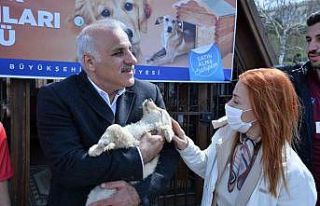 Büyükşehirden sahipsiz canlara özel etkinlik
