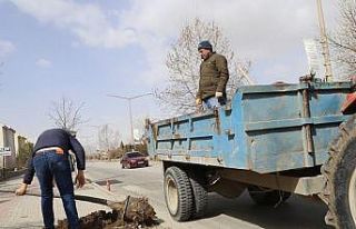 Cadde ve kaldırımlara farklı türlerde 200 adet...