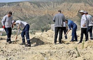 ÇAKÜ bin fidanı daha toprakla buluşturdu