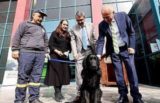 Can dostlar için anlamlı protokol
