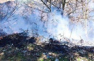 Çanakkale’de çöplük yangını ormana sıçramadan...