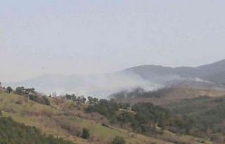 Çanakkale’de orman yangını