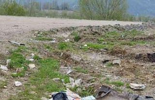 Çaycuma’da telef olan sokak hayvanları çöplüğe...