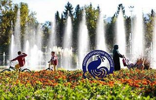 Çiçek açan 1,5 milyon hercai Denizli’ye baharı...