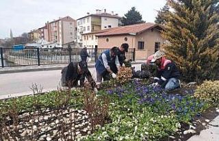 Çiçeklerle donatılan Bünyan, rengarenk oldu