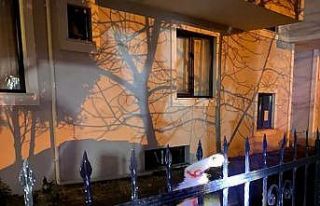 Çiftlikköy’de kedi kurtarma operasyonu