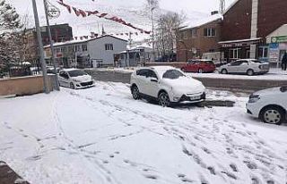 Çıldır karlı bir güne uyandı