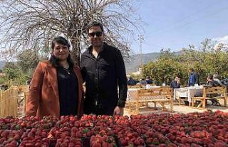 Çilek bahçeli dinlenme tesisi