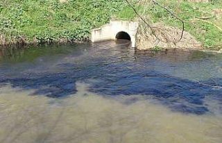CİMER’i de kandırdılar...Ölüm saçan dereyi...