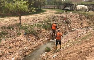 Cizre’de ilaçlama çalışmaları başlatıldı
