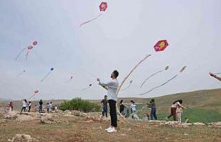 Cizre’de öğrenciler uçurtma şenliğinde doyasıya...