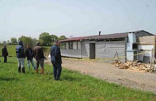 Çoban başından vurulmuş halde ölü bulundu