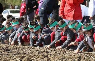 Çocuklar mor patates tohumlarını toprakla buluşturdu