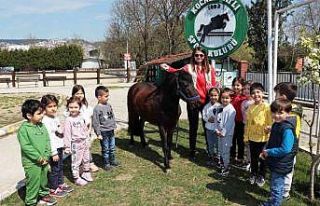 Çocuklara ücretsiz at binme eğitimi