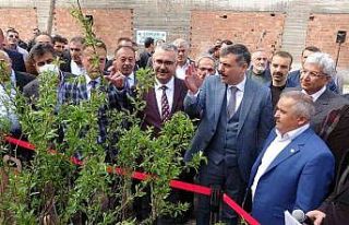 Çorum’da çiftçilere ücretsiz sahlep ve badem...