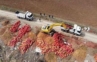 Çorum’da yol kenarına dökülen tonlarca soğan...
