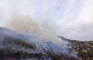 Çorum’daki orman yangını kontrol altına alındı