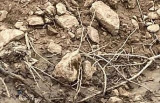 Çukurca’da bulunan havan topu mühimmatı imha...