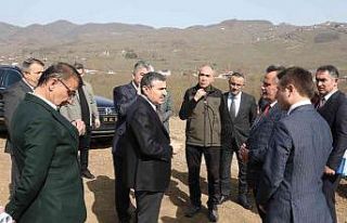 Cumayeri’nde sokak hayvanları için bakımevi yapılacak