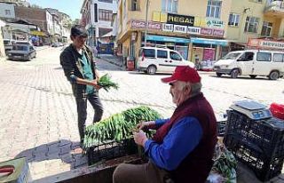 Dağdan topladıkları otlarla geçimlerini sağlıyorlar